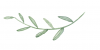 Leaf Logo Leaf Logo