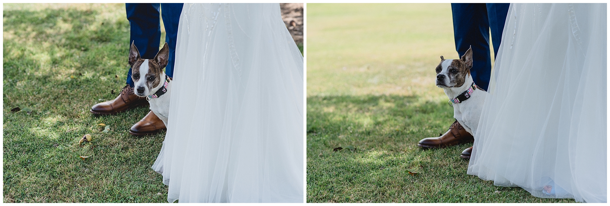 pipers health milton wedding toronto photographer photography modern romantic jacqueline james