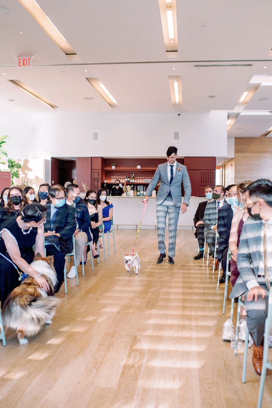 Puppy dog enters ceremony fun sweet candid moment at gardiner museum downtown toronto modern romantic wedding jacqueline james photography