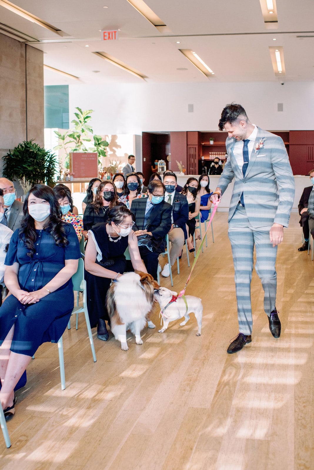 Puppy dog enters ceremony fun sweet candid moment at gardiner museum downtown toronto modern romantic wedding jacqueline james photography