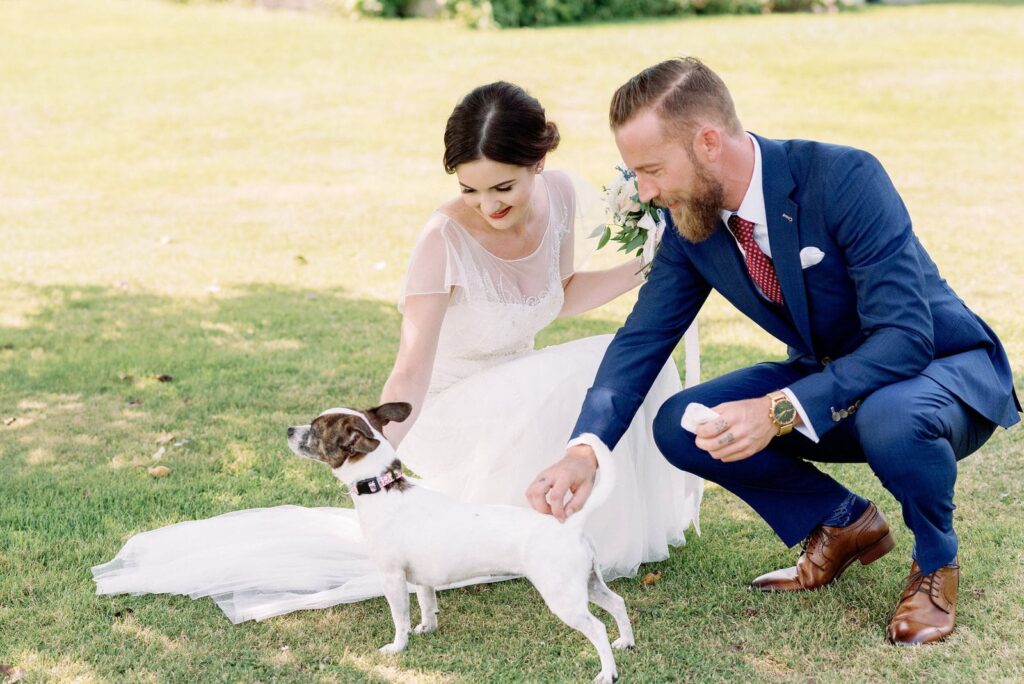 Bride and groom play with puppy dog pipers heath wedding toronto wedding venue jacqueline james photography