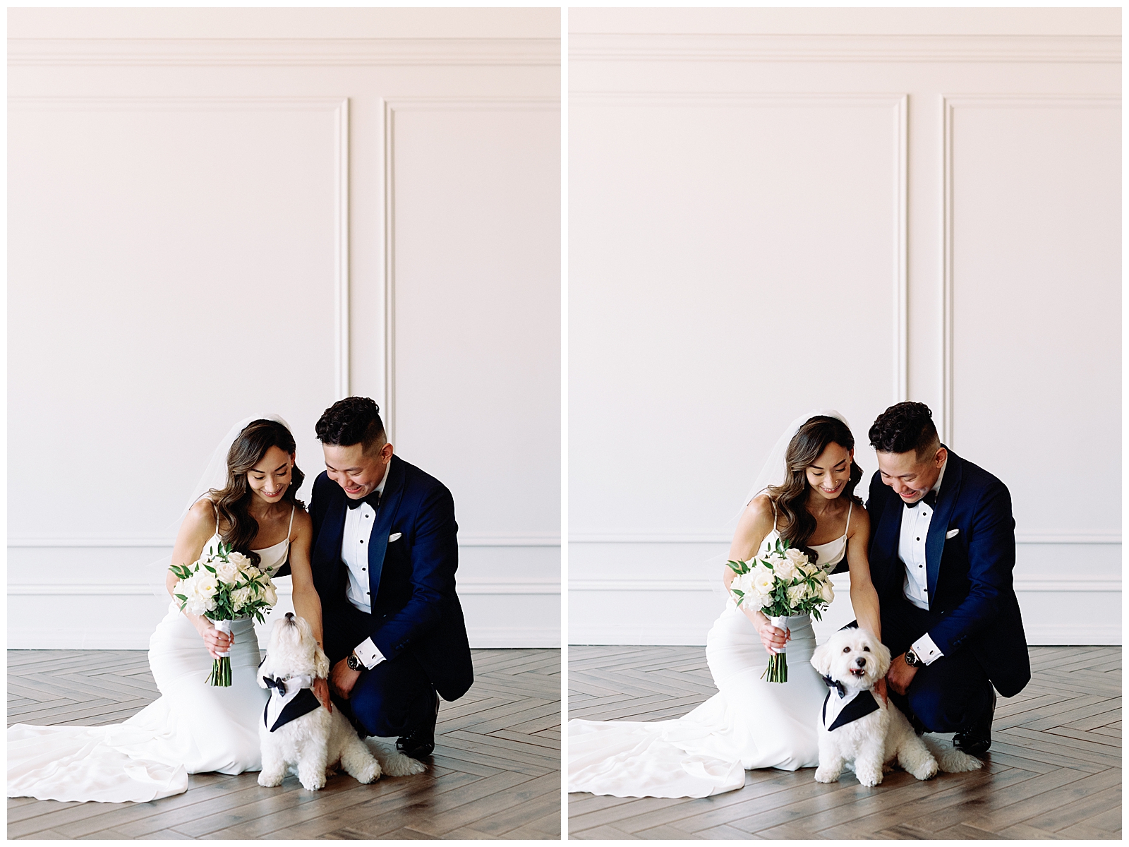 Couple Portraits with Happy Cute Dog Excited Sophisticated Toronto at Arlington Estate Wedding Venue, Summer Intimate Elopement| Jacqueline James Photography for modern wild romantics