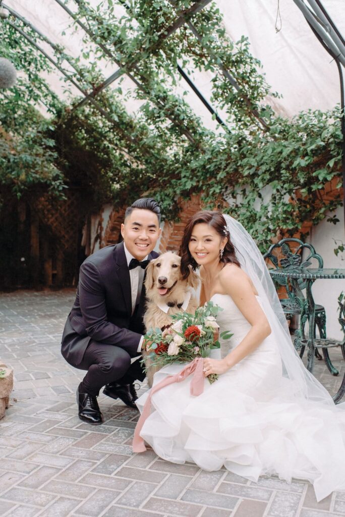 Bride and groom pose with puppy dog at Madison Greenhouse Wedding Newmarket Toronto Wedding Venue Jacqueline James Photography